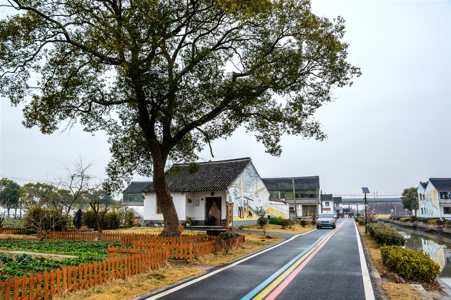 新春理论宣讲走进美丽乡村