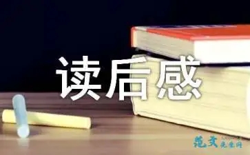 《印度洋的眼泪》读后感