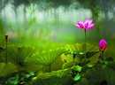 幻想蓝天