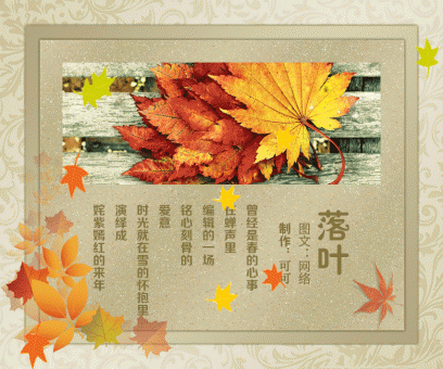ps动画  落叶