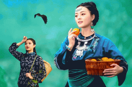 《好收成》  宋祖英演唱