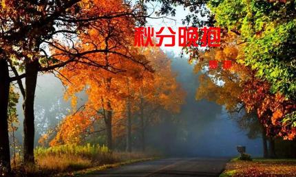 《秋分晚抱》梦琪