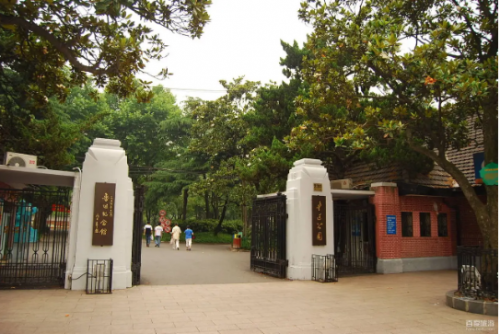 鲁迅公园聋哑人聚会