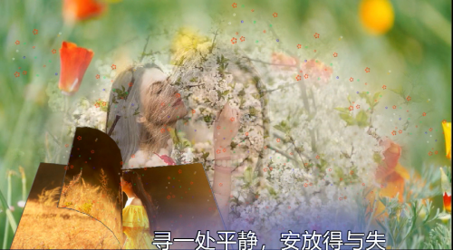 寻一处平静，安放得与失