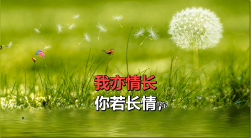 你若长情，我亦情长