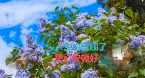 把心安顿好，人生也就顺了