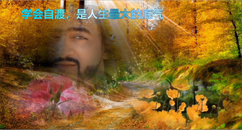 学会自渡，是人生最大的底气