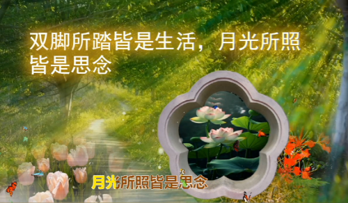 双脚所踏皆是生活，月光所照皆是思念