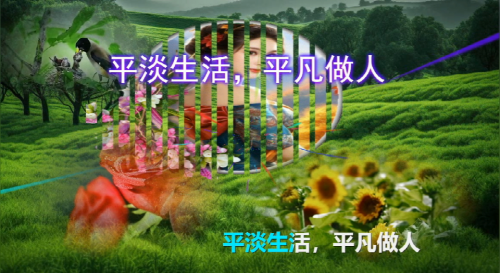 平淡生活，平凡做人