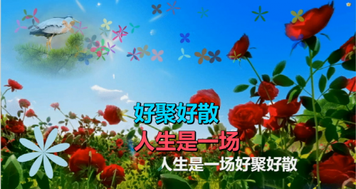 人生是一场好聚好散