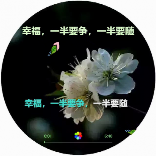 幸福，一半要争，一半要随