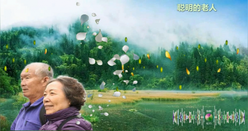 这样的老人，走到哪里都受欢迎