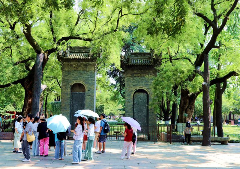 夏日的欢愉~《时光流影》副刊第三十二期|老小孩讲述