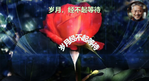 岁月，经不起等待