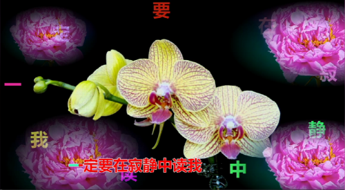 一定要在寂静中读我