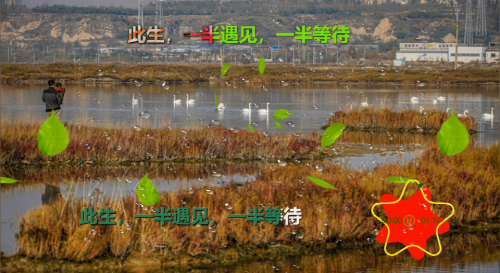 此生，一半遇见，一半等待