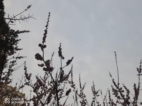 20190401裕-五文革-1
