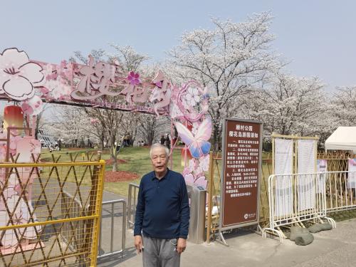 顾村公园 樱花岛小视频（1）