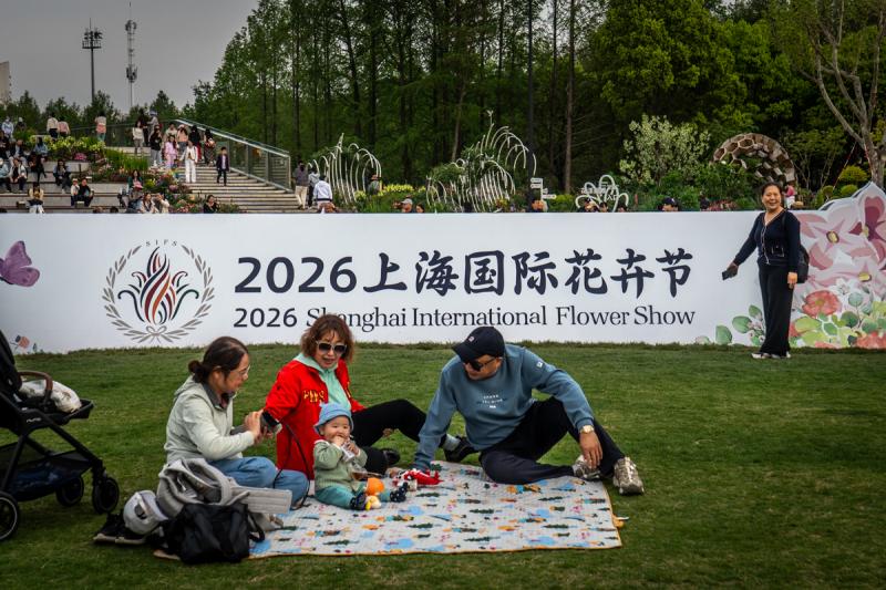 周游上海 —— 海上花开！2026 上海花卉节启幕
