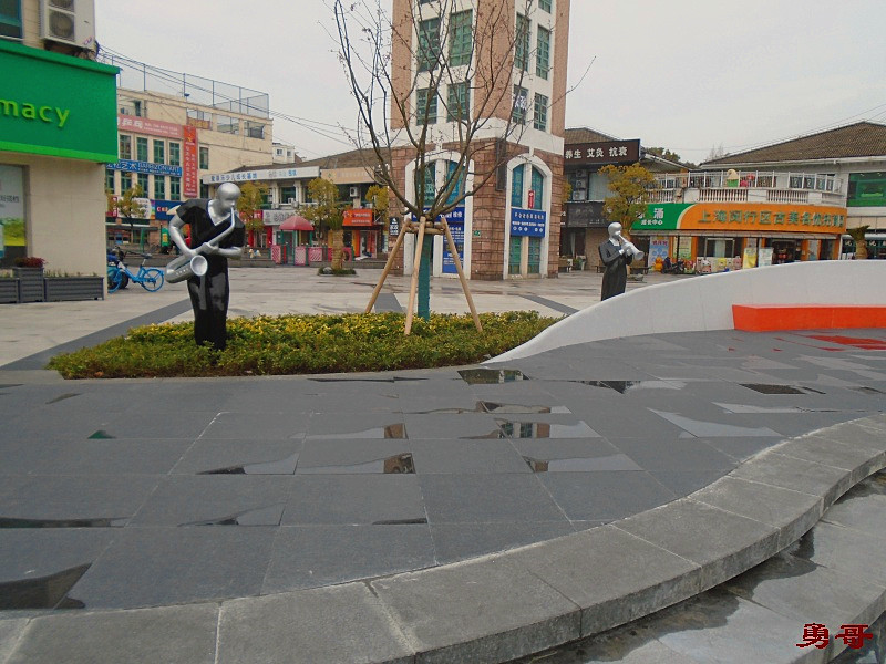 游遍上海公园-闵行区-顾戴路、...