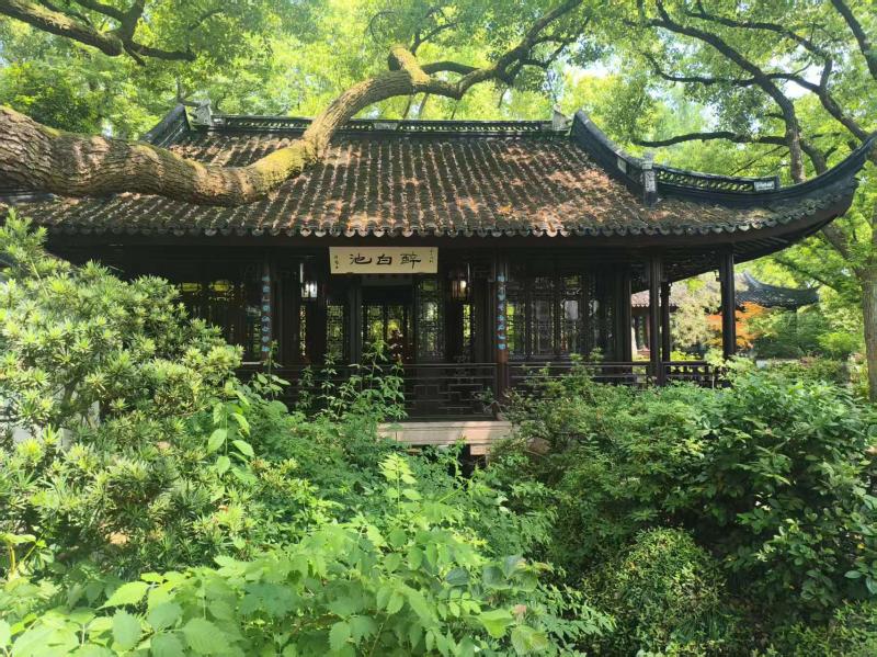 醉白习影，拾光园林：松江区老年大学手机摄影班醉白池采风教学
