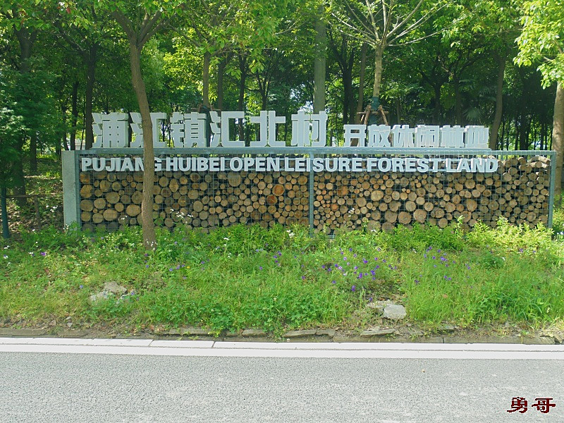 游遍上海公园-闵行区-汇北村开...