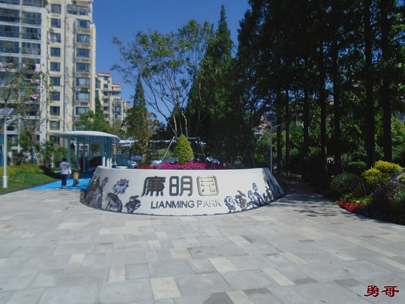 游遍上海公园-闵行区-廉明园