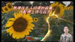 熬得住无人问津的寂寞，才配得上诗与远方