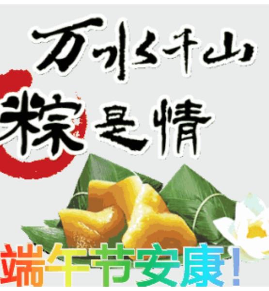 “万水千山‘粽’是情”