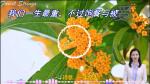 我们一生最重，不过饱餐与被爱