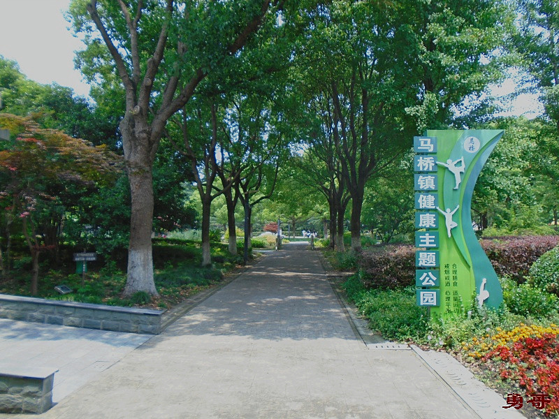 游遍上海公园-闵行区-马桥镇健...