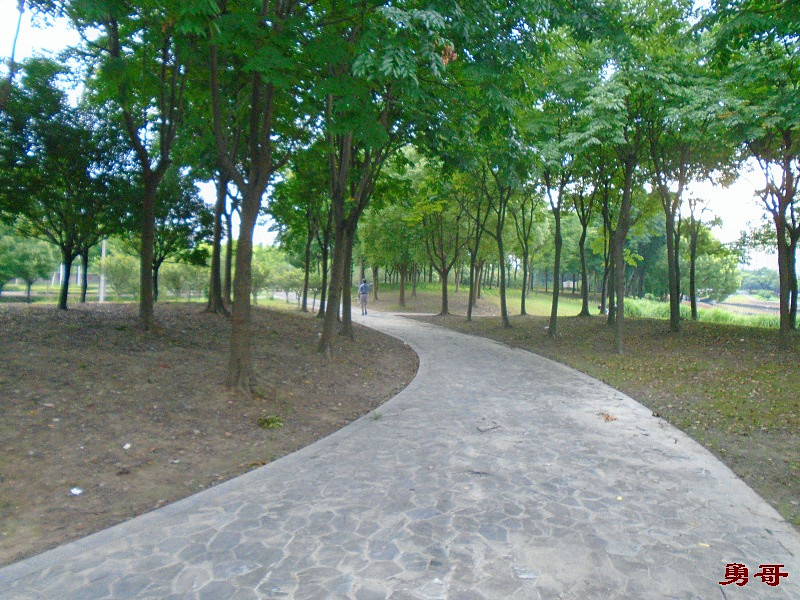 游遍上海公园-闵行区-鲁南路、...