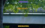 爱着这世界就好