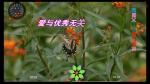 爱与优秀无关