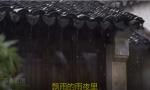 茶香夜雨