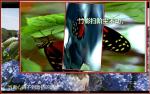 当真心得不到善待的时候