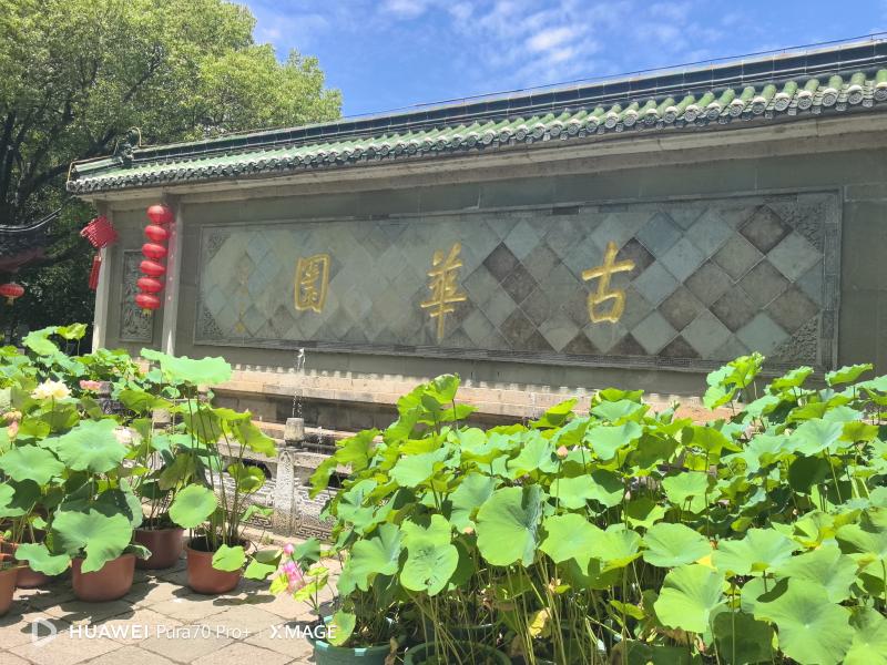 走上海看发展第2219篇——南...