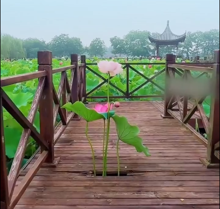 立秋了，给夏天总个结