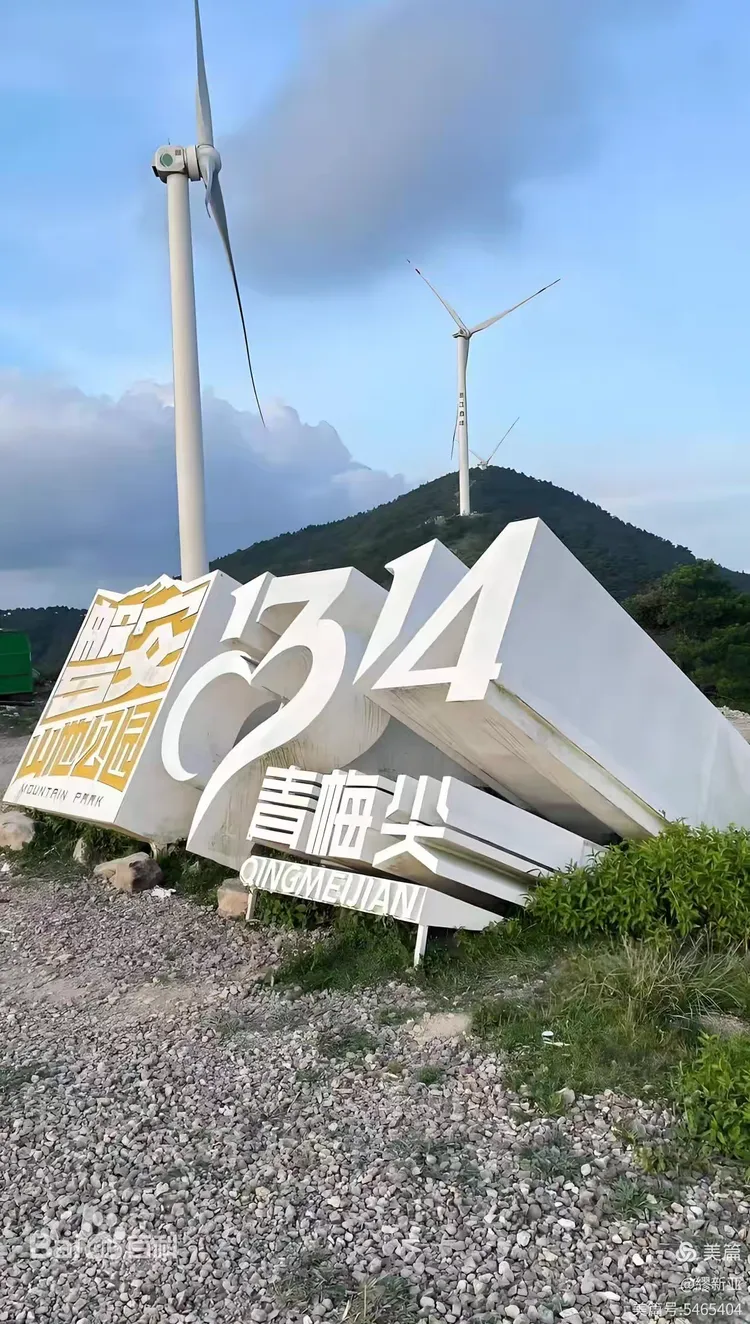 银发踏“青梅”