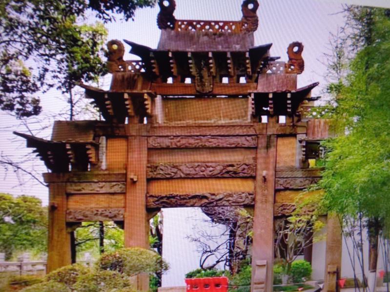 当年漫游古藤园