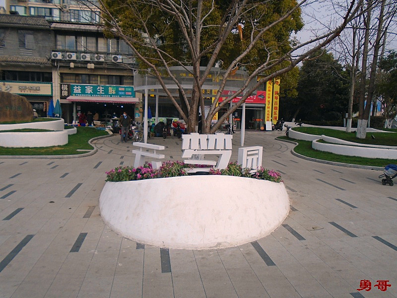 游遍上海公园-浦东新区-云梦园
