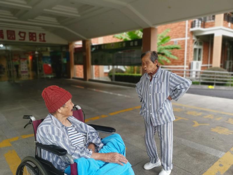 岳母遇到枫泾人（徐建国）