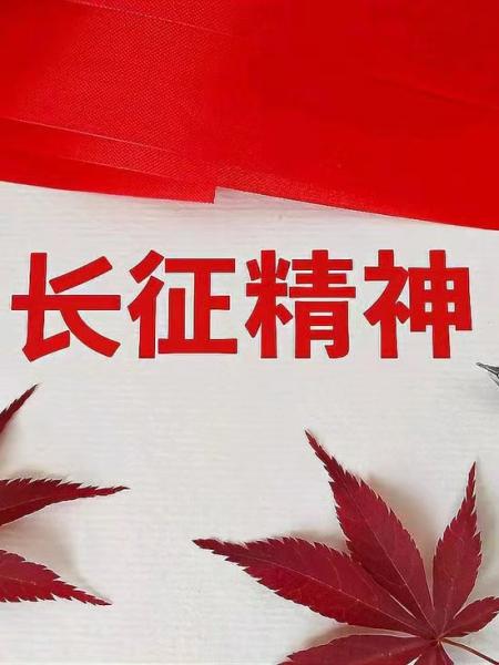 长征启示：靠团结聚力   靠总...