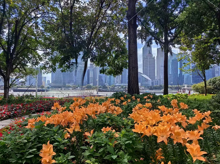 深秋的北外滩漫行记